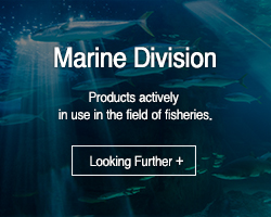 Marine division
