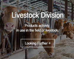 Livestock division