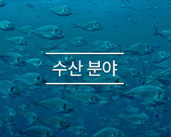 수산 분야